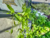 _A7R4006_HDR_non_ps_res.webp