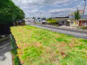 wiata-przystankowa-autobusowa-CANIS-GREEN-realizacje-06.webp