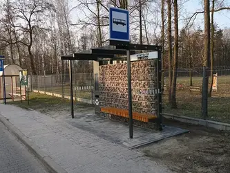 1.3.3.13-typ-bobrowniki.webp